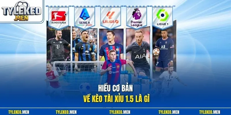 Hiểu cơ bản về kèo tài xỉu 1.5 là gì